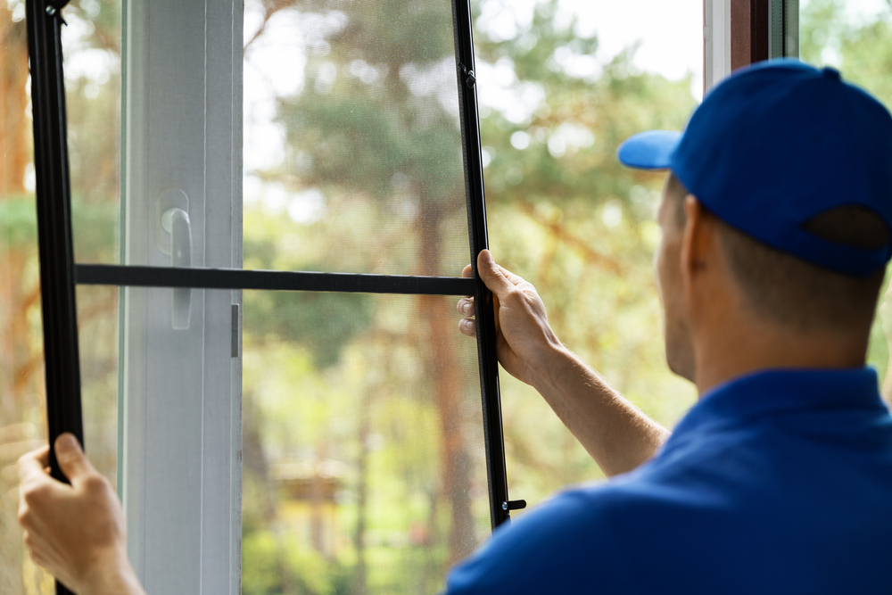 Window screen cleaning